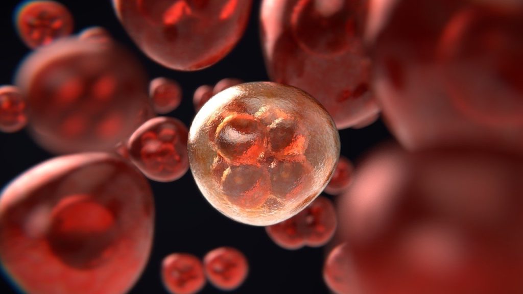 Den Österreichern ist eine „Krebsversicherung“ leider zumeist unbekannt