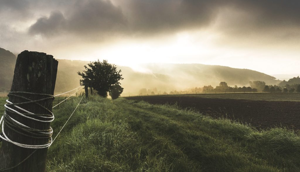 Heimische Landwirte mussten im Frühling Millionenschäden verkraften