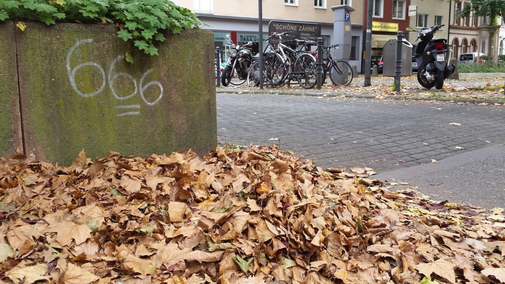 Herbstliche Pflichten für Grundbesitzer