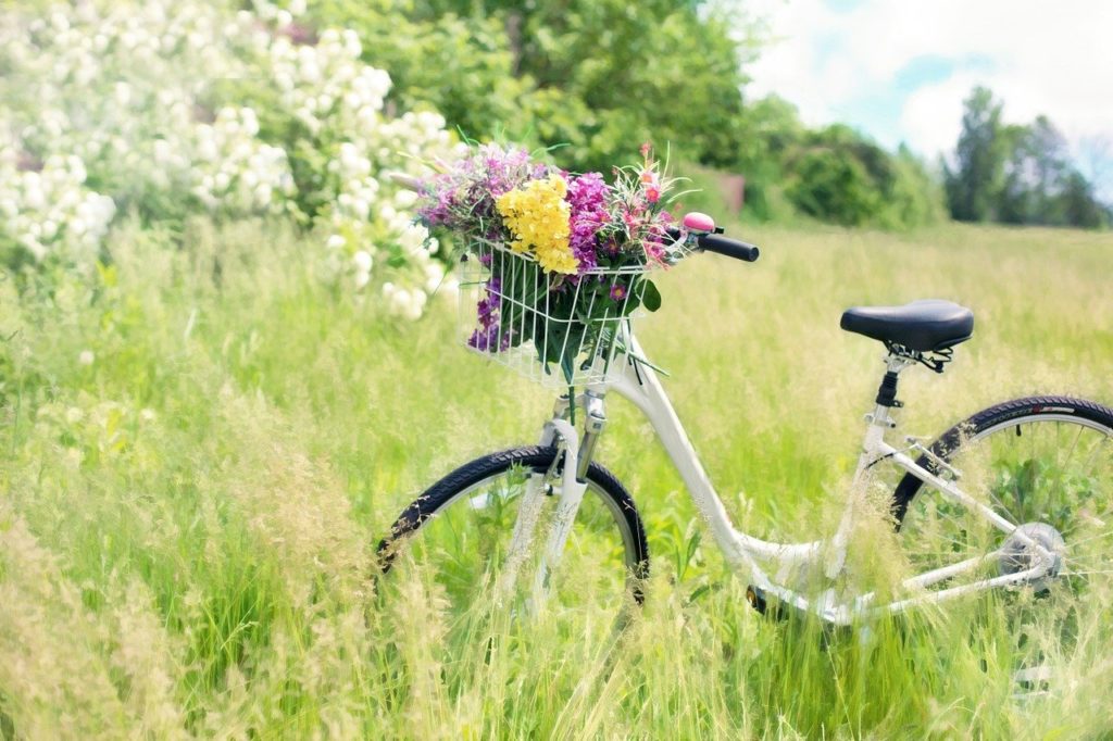 So mache ich mein Fahrrad frühlingsfit