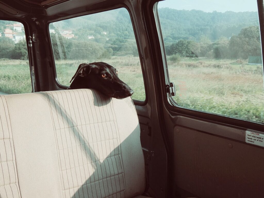 Lebensgefahr im Auto
