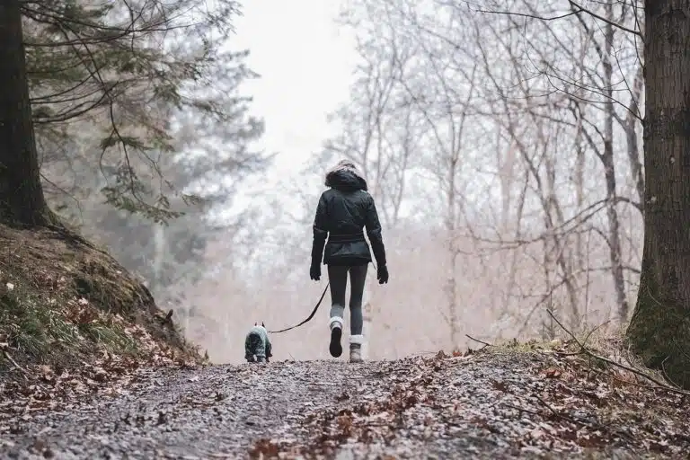Unfallrisiken beim Wandern im Herbst