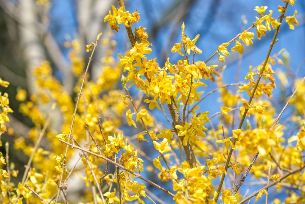 Gefahr aus der Natur