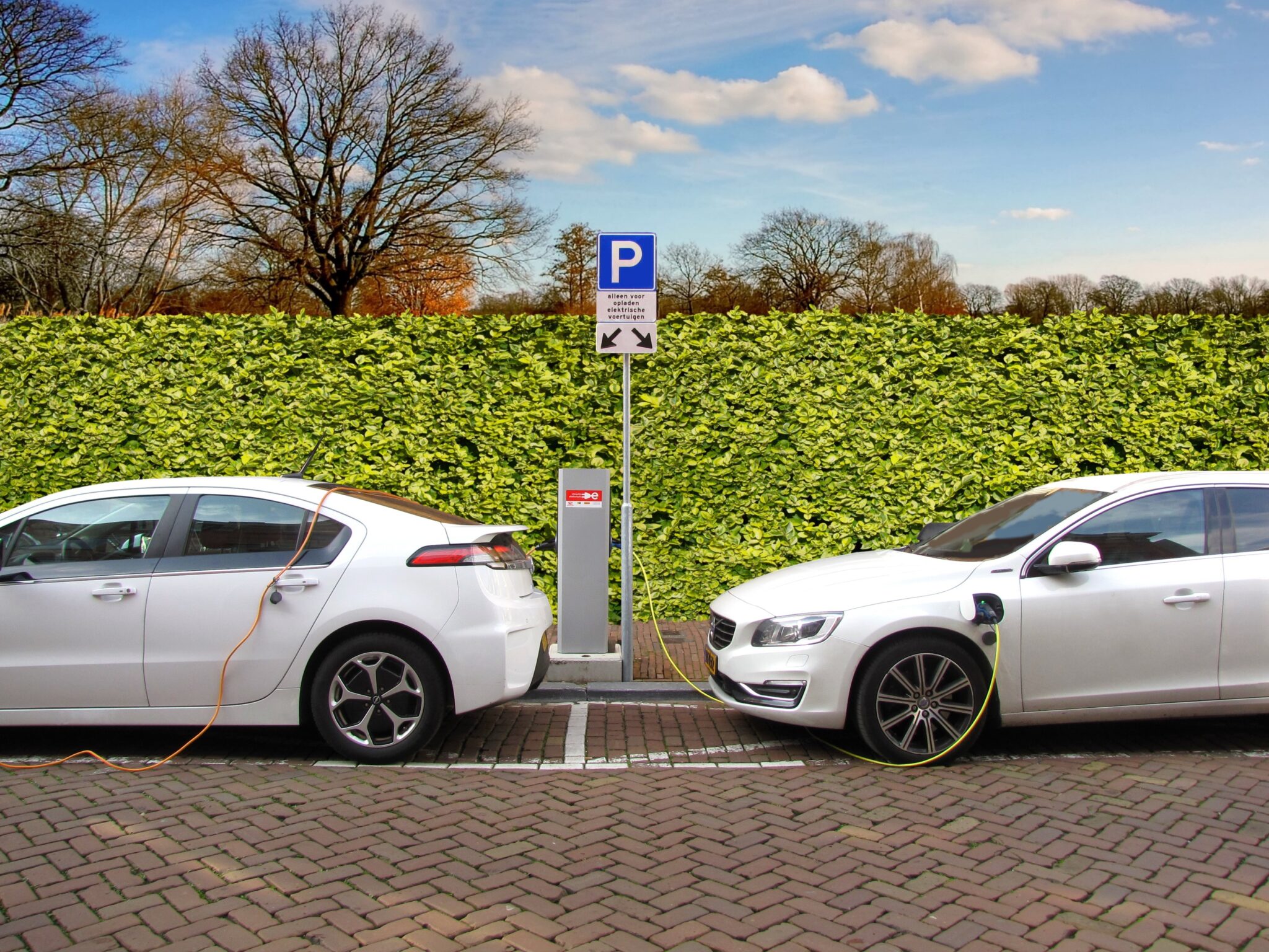 Elektroautos treiben den Automarkt