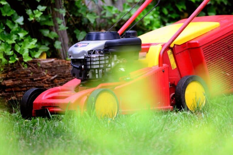 Roter Rasenmäher steht auf einer frisch gemähten Rasenfläche vor einer Hecke
