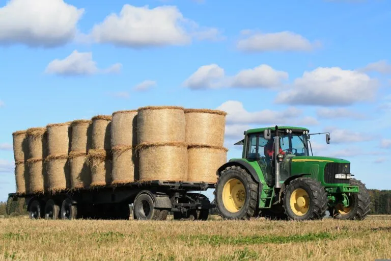 Grüner Traktor zieht einen dreiachsigen Anhänger mit gestapelten Rundballen über ein abgeerntetes Feld.